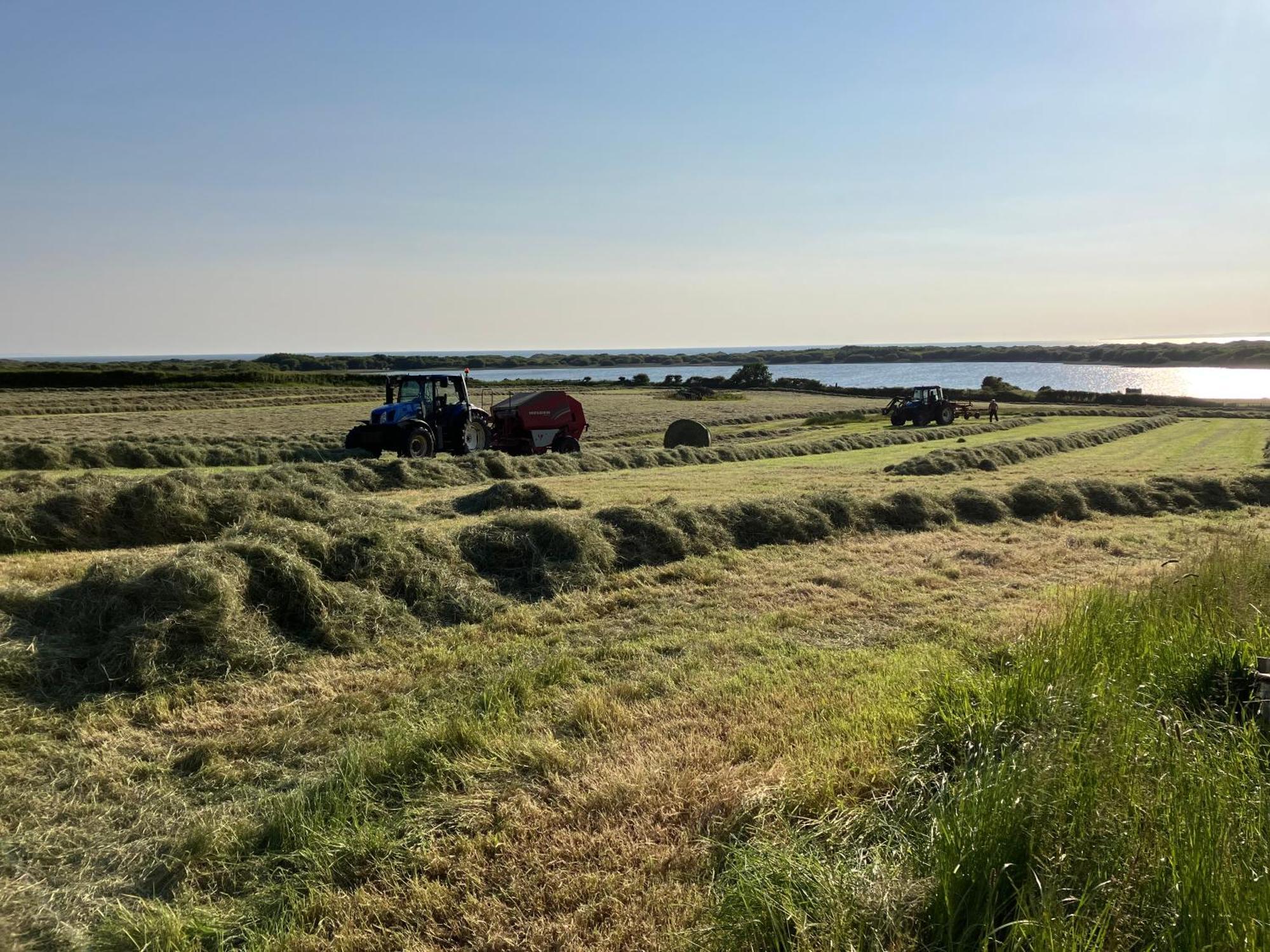 فيلا Kenfig Farm بريدجيند المظهر الخارجي الصورة