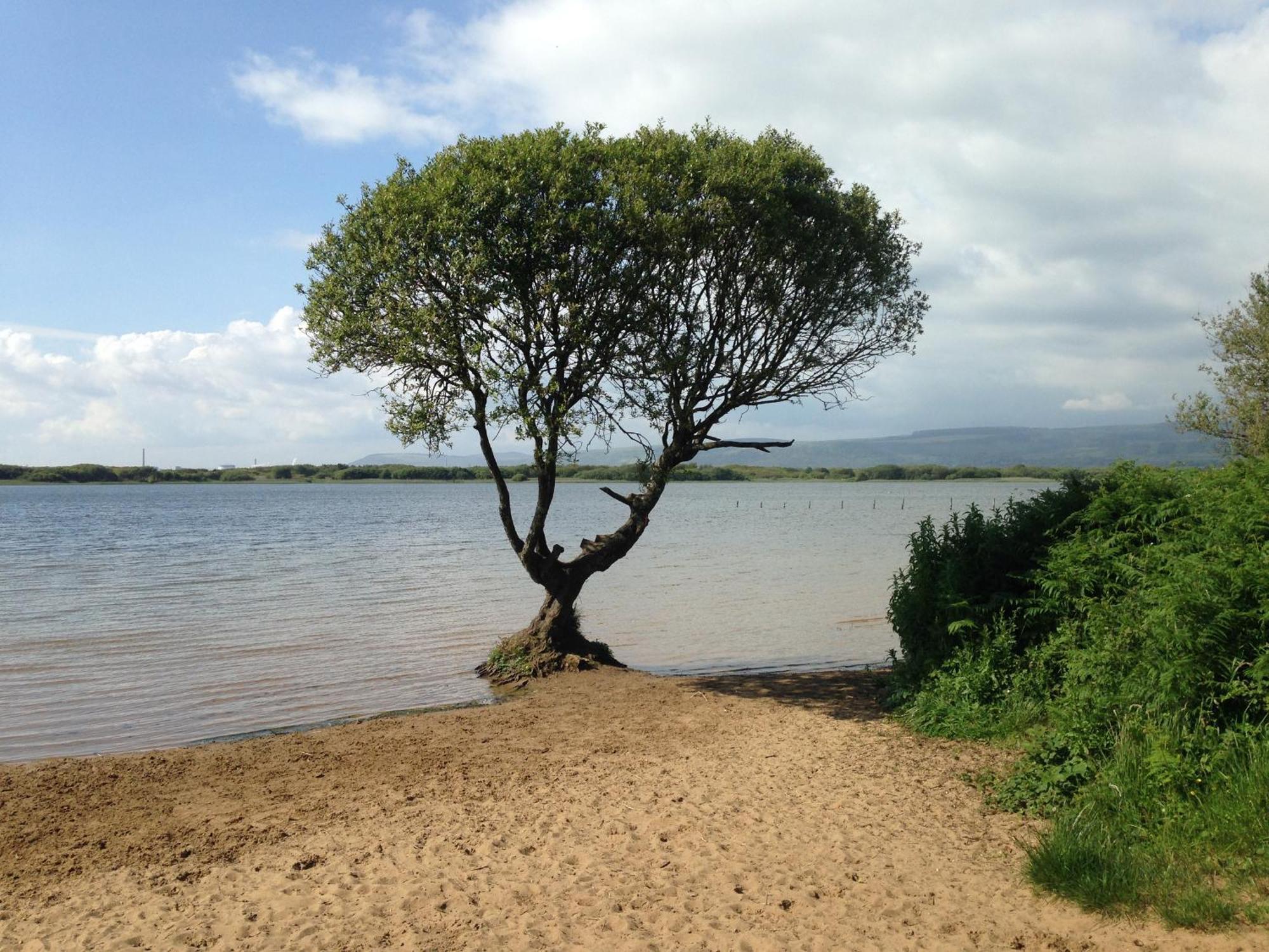 فيلا Kenfig Farm بريدجيند المظهر الخارجي الصورة